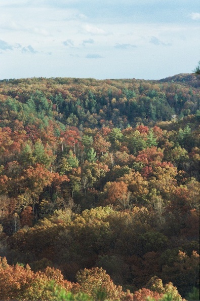 Red River Gorge in Fall 1.jpg